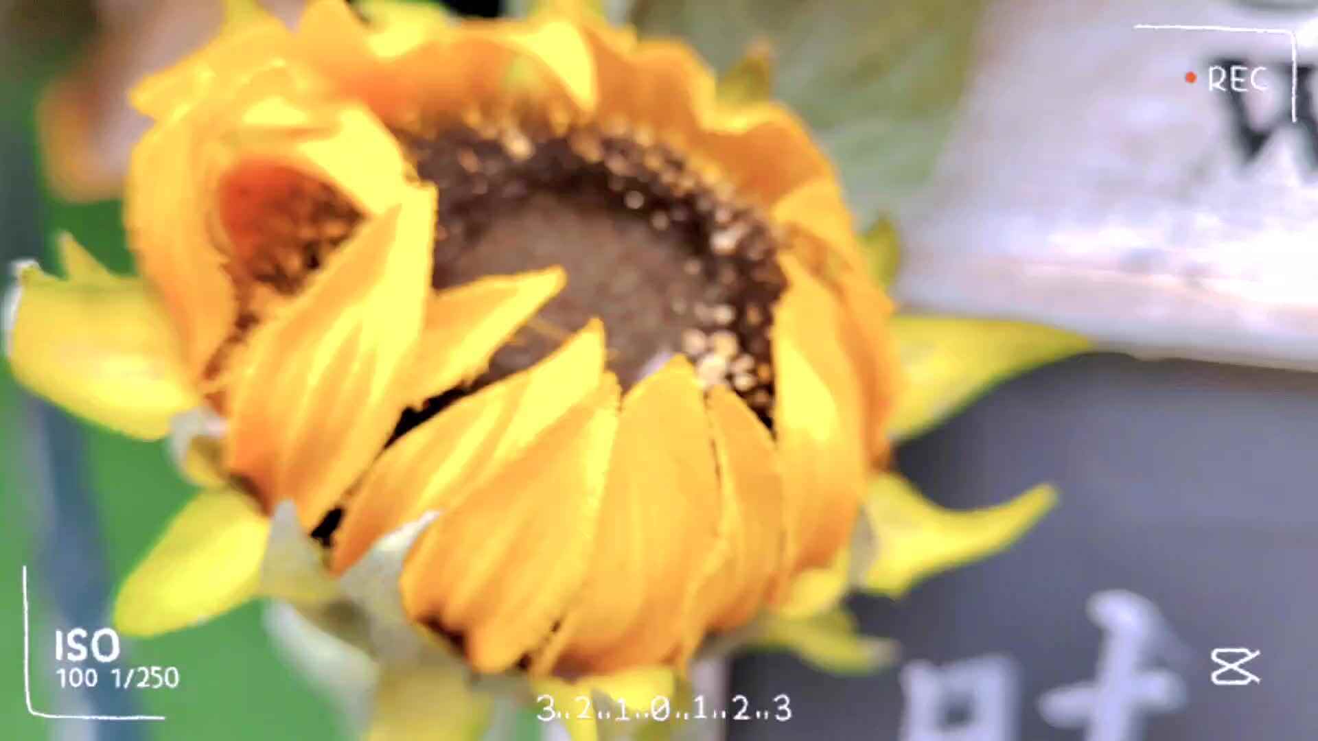 食育：爆出快乐爆米花