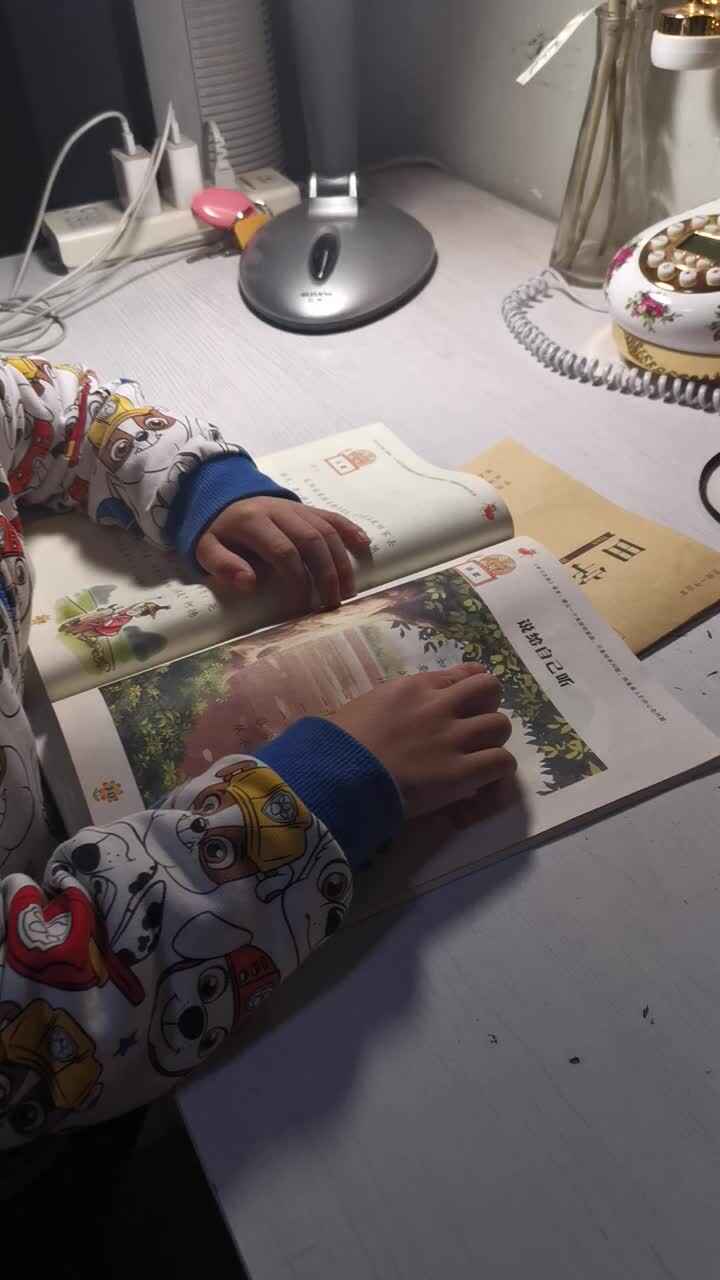 _20230424白梓辉读诗歌.mp4