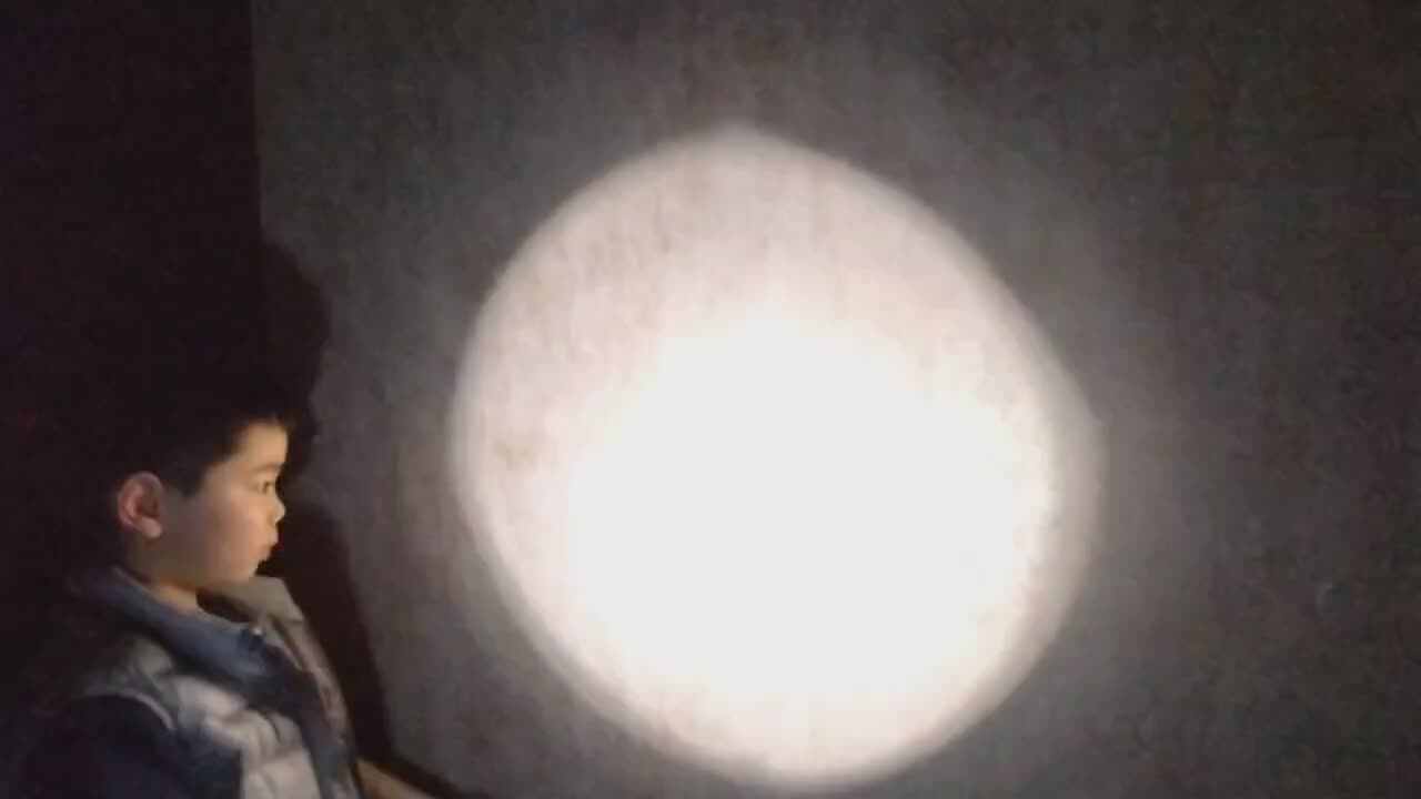 手影游戏