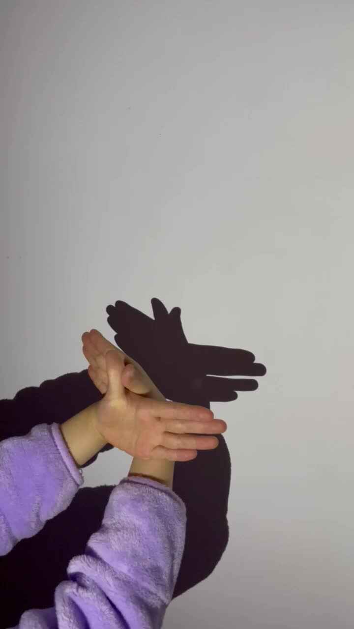 手影游戏