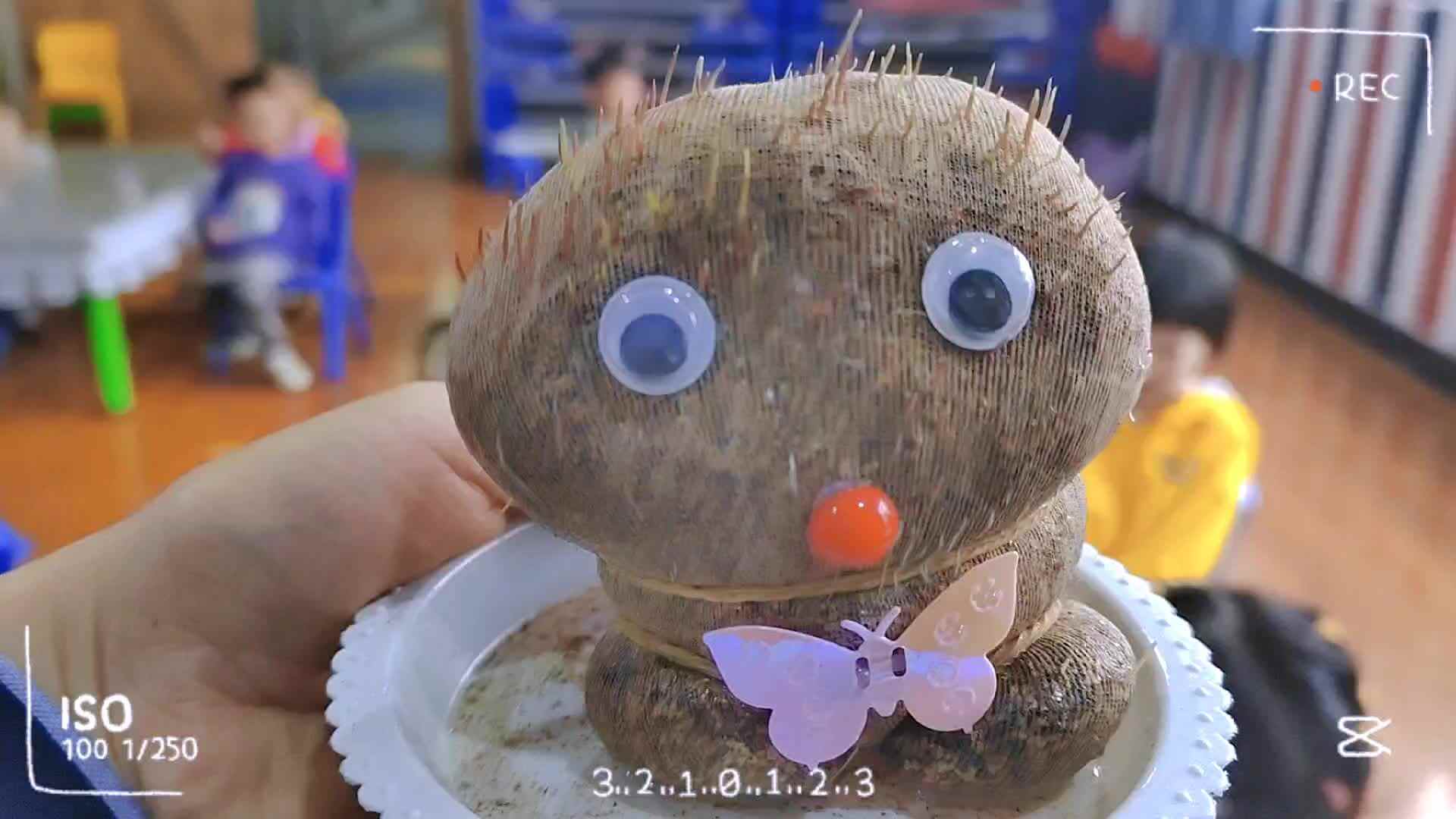 见证稻草人发芽啦