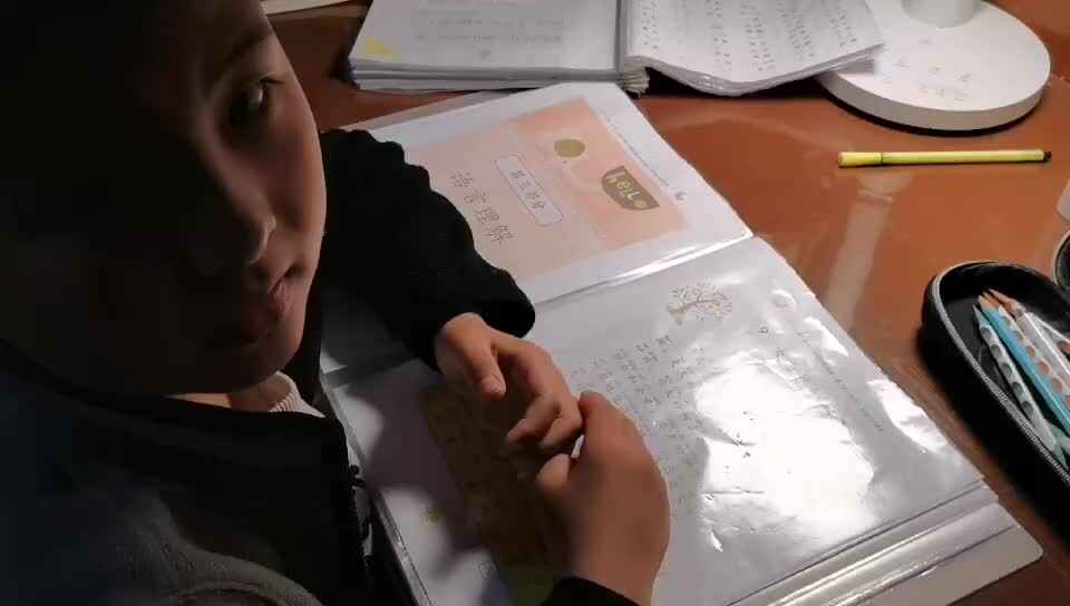 4.24指读大自然的邮票.mp4