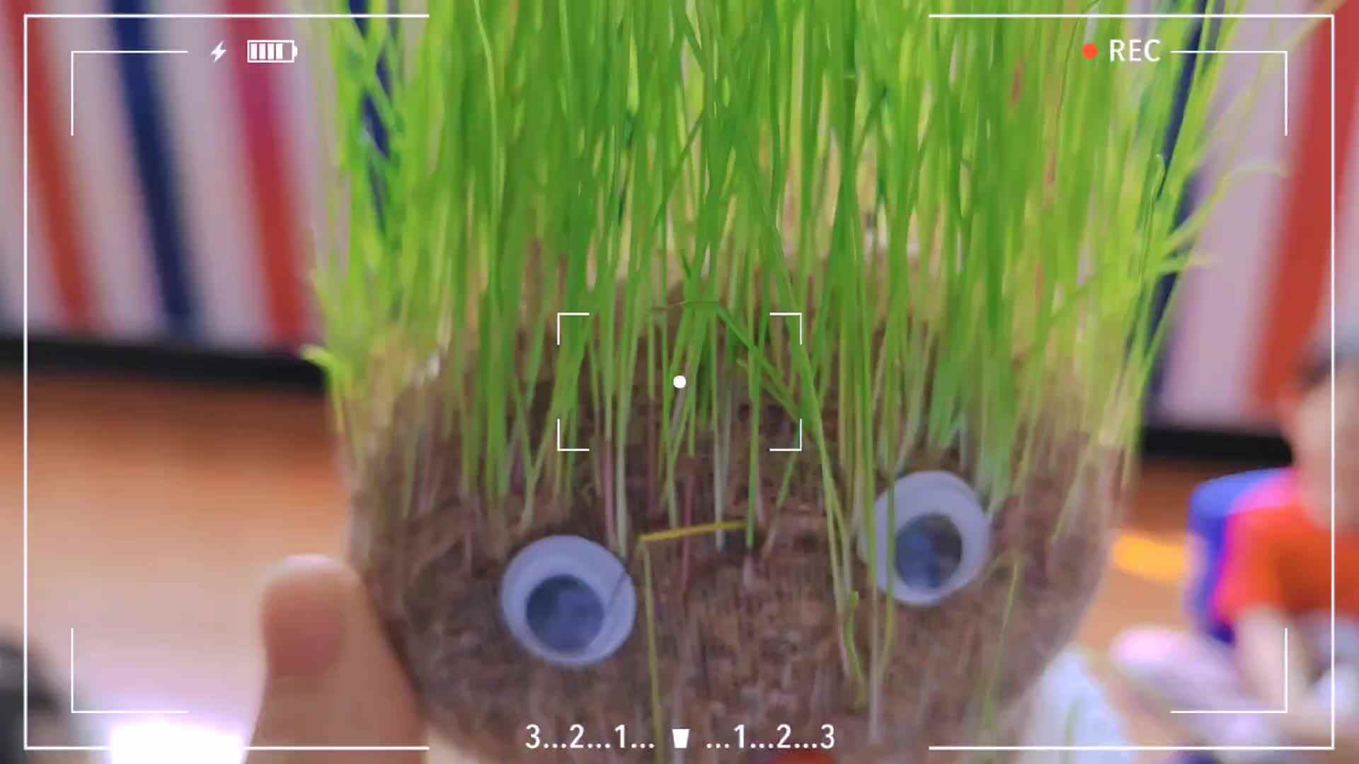 一起见证稻草人