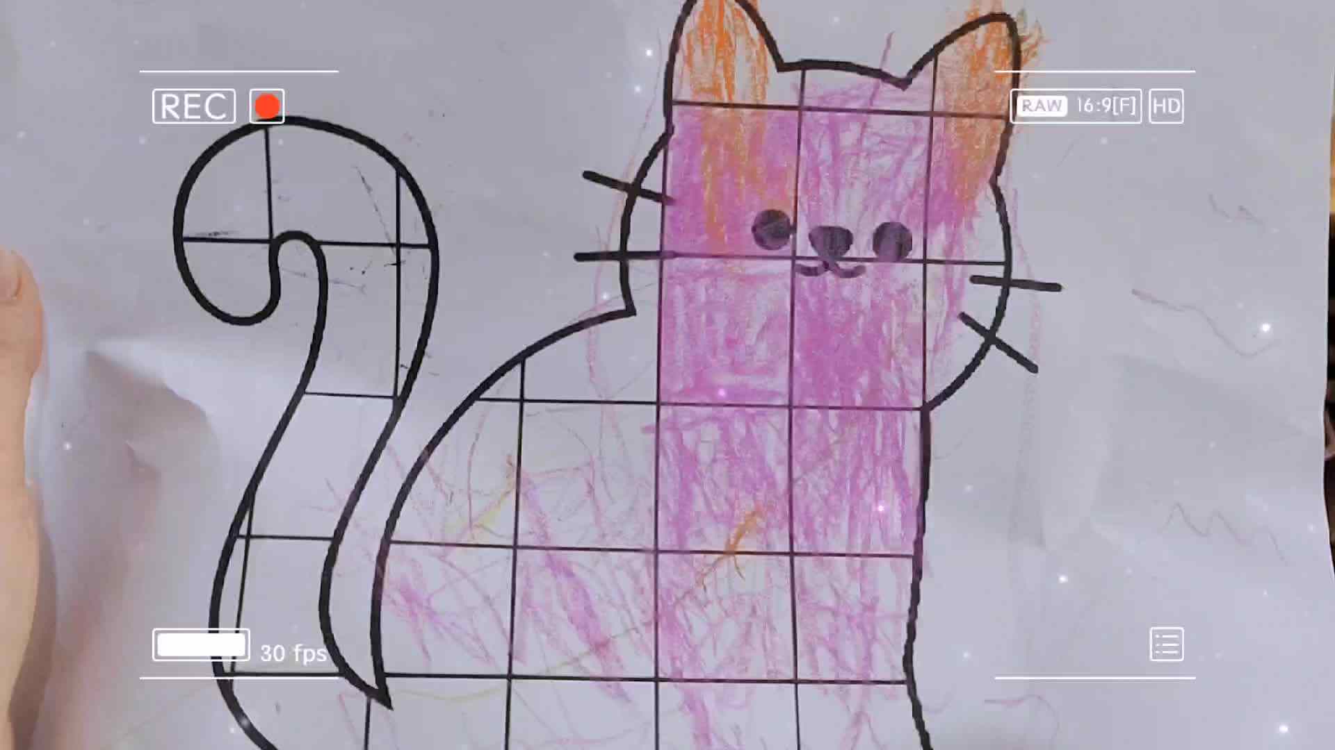 我手下的猫咪