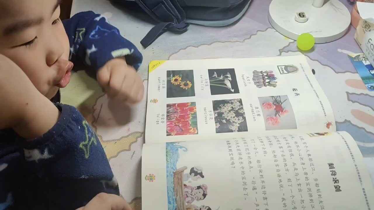 mmexport1682908869054.mp4