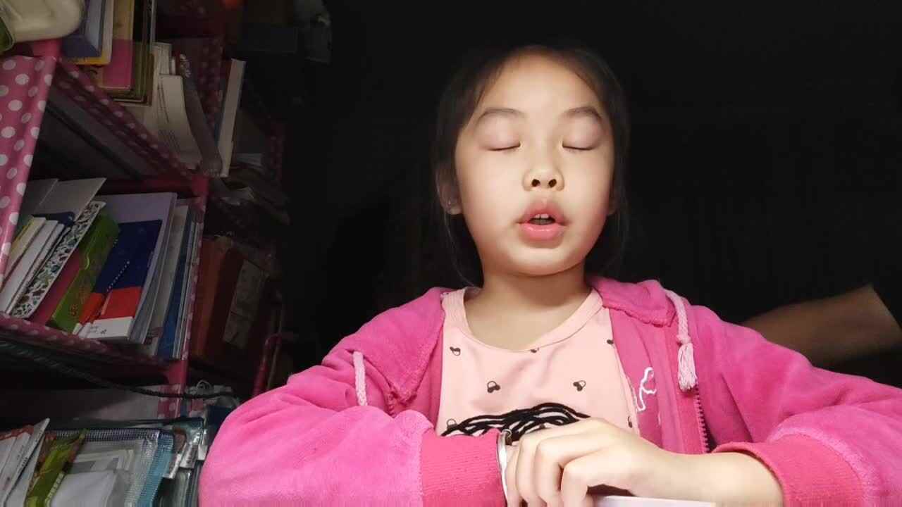学B班王禹淇2023.05.11拼音.mp4