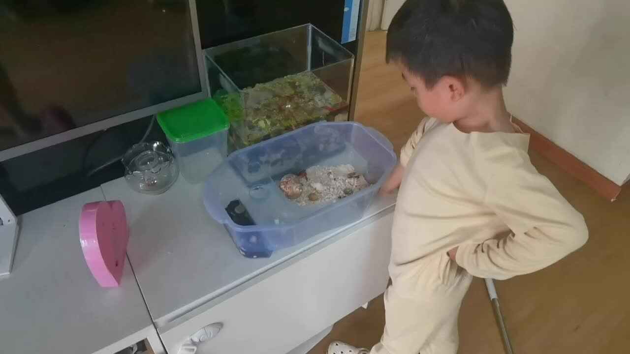 20230528中A班郭睿珩-自己力所能及的事儿-喂鱼.mp4