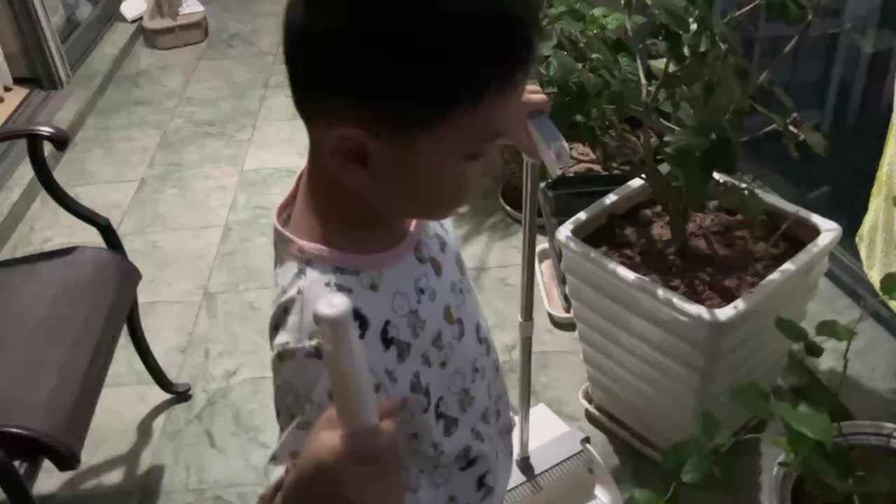 mmexport1687710956283.mp4