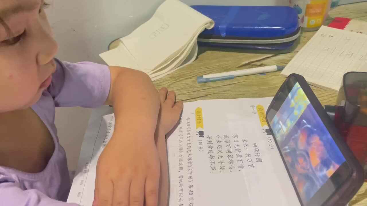 6.2日观看视频乐山大佛