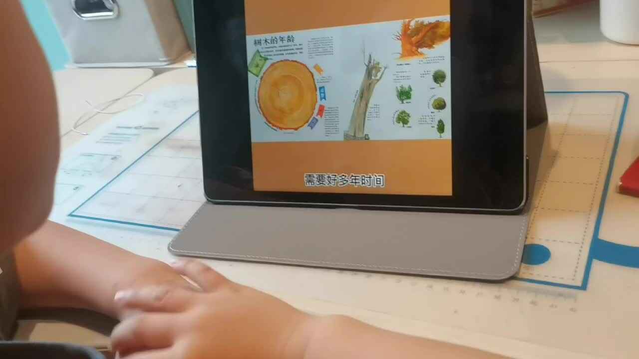 观看科普绘本《树木的年龄》