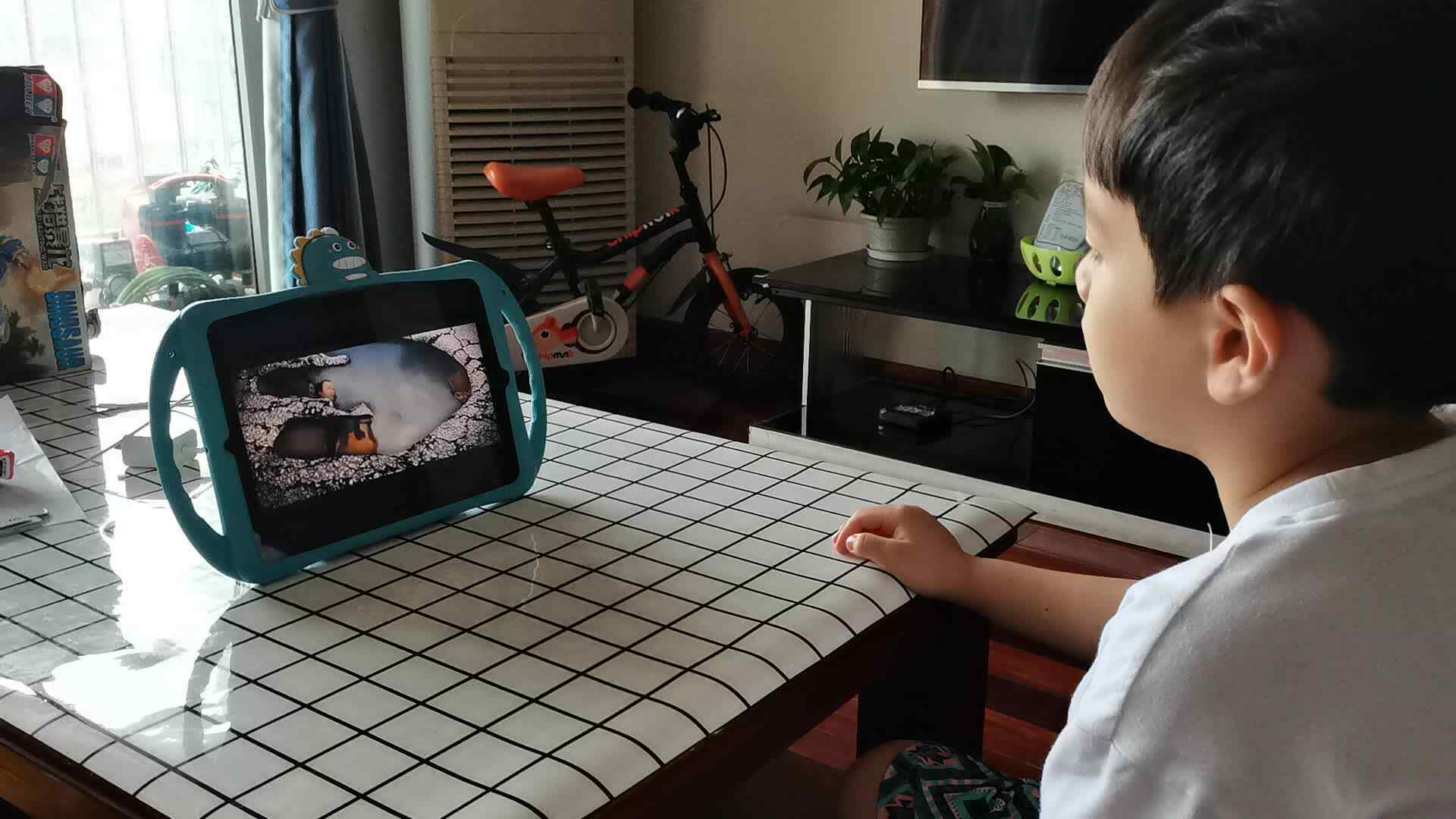 6月22日昌奕乐观看《常州恐龙城》
