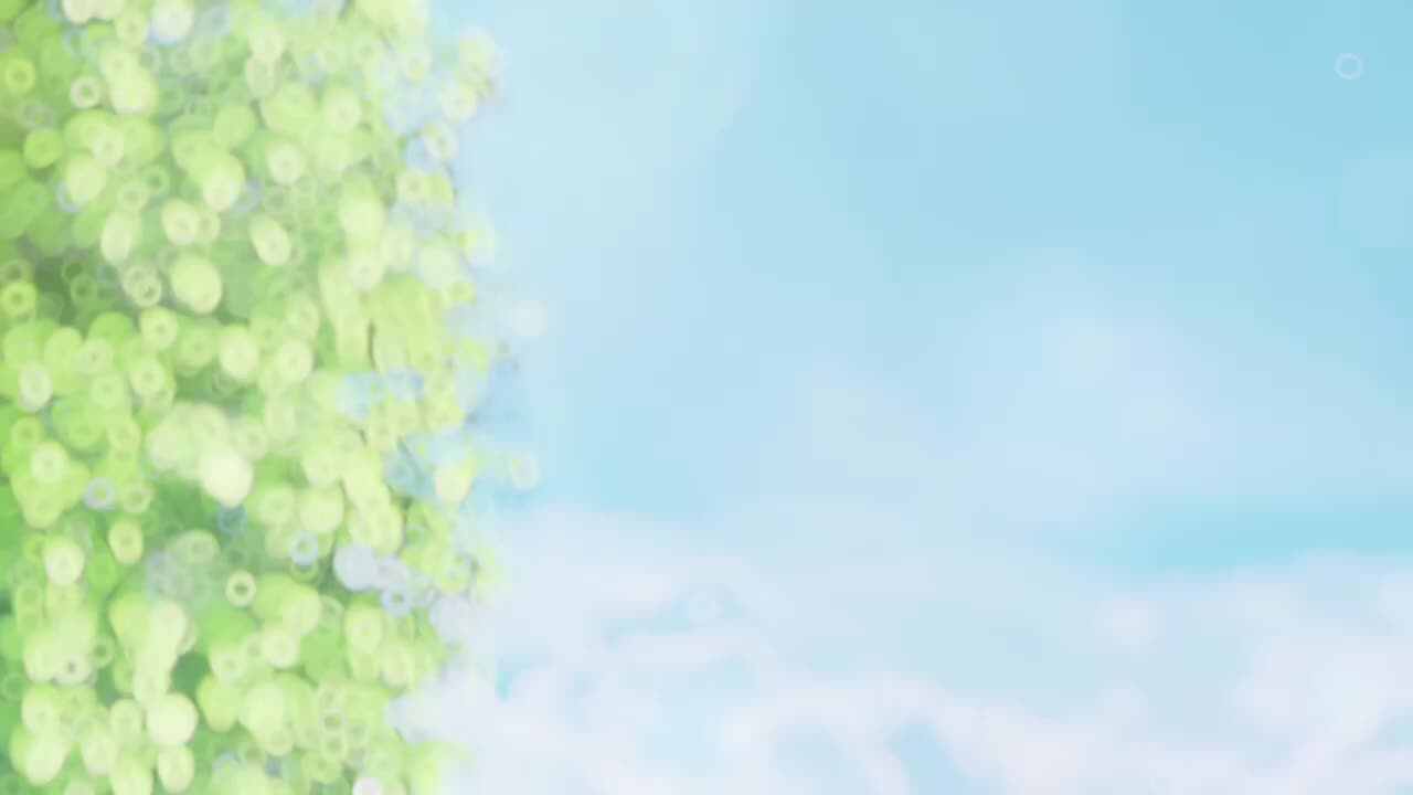 毕业演讲前传