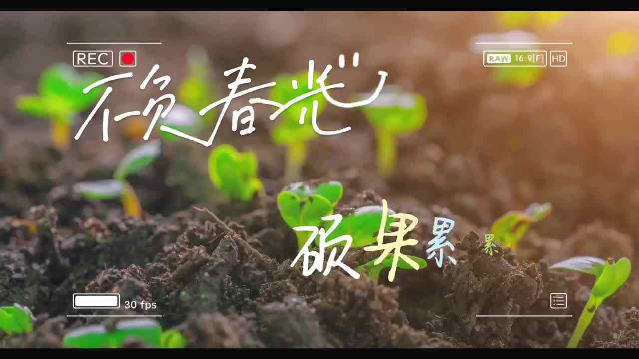 不负春光，硕果累累