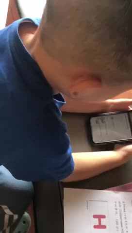 母鸡萝丝去散步