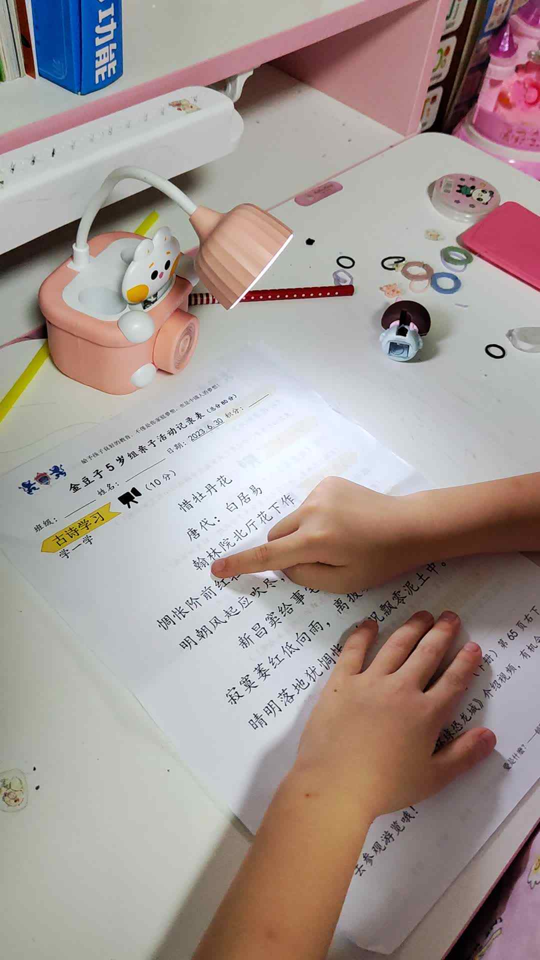 惜牡丹花.mp4