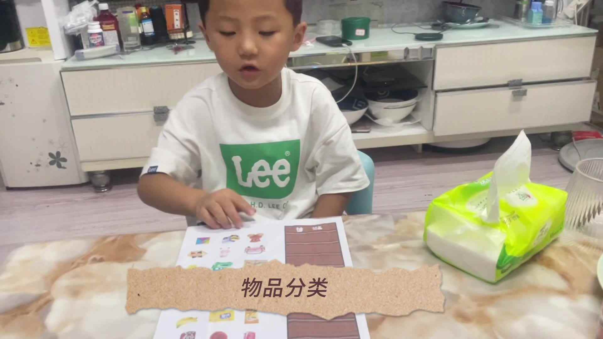 2023.9.13 张睦晨 物品分类
