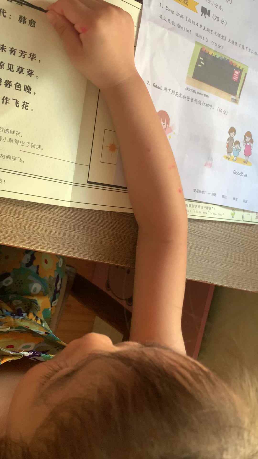 复习古诗 春雪