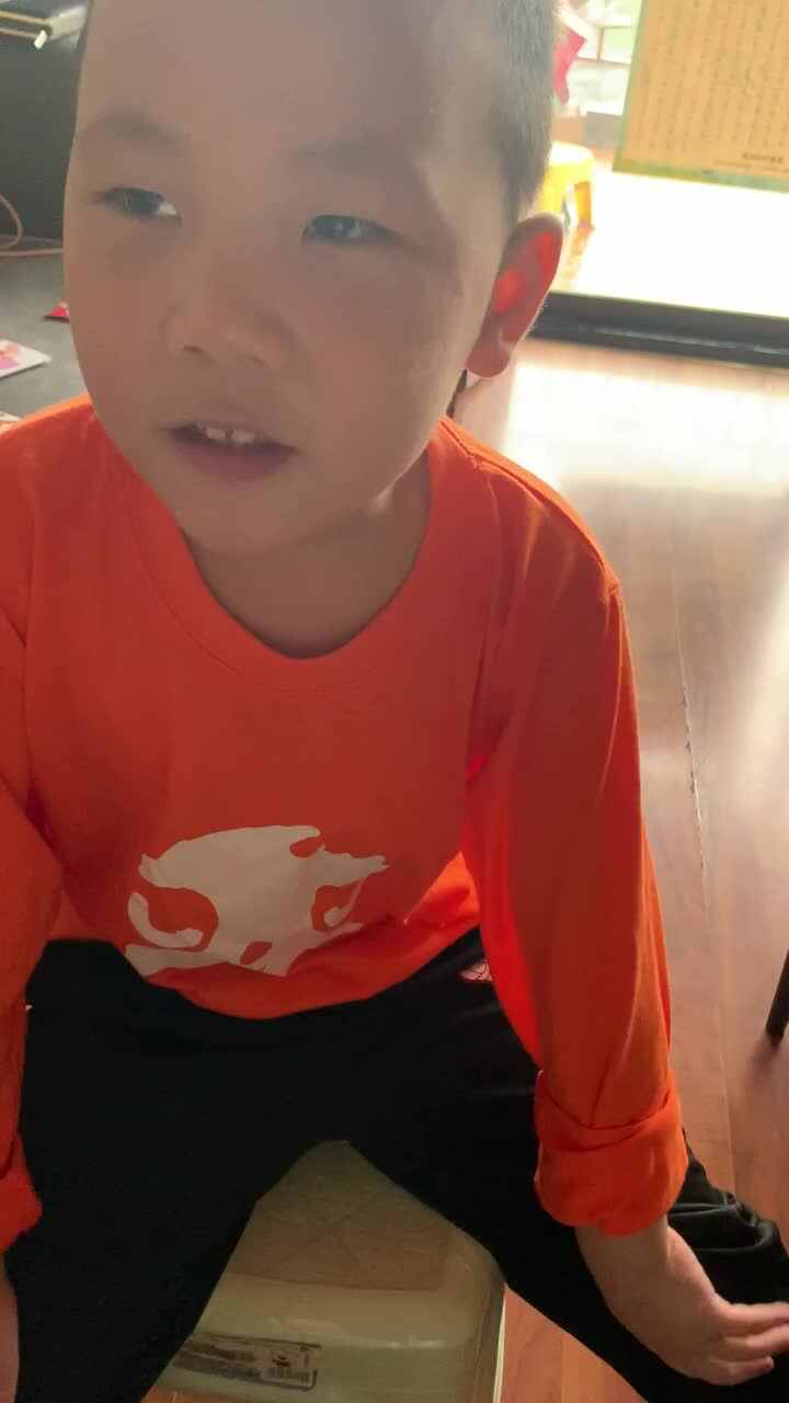 对子歌