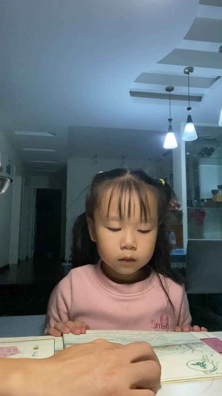指读古诗采桑子.MOV