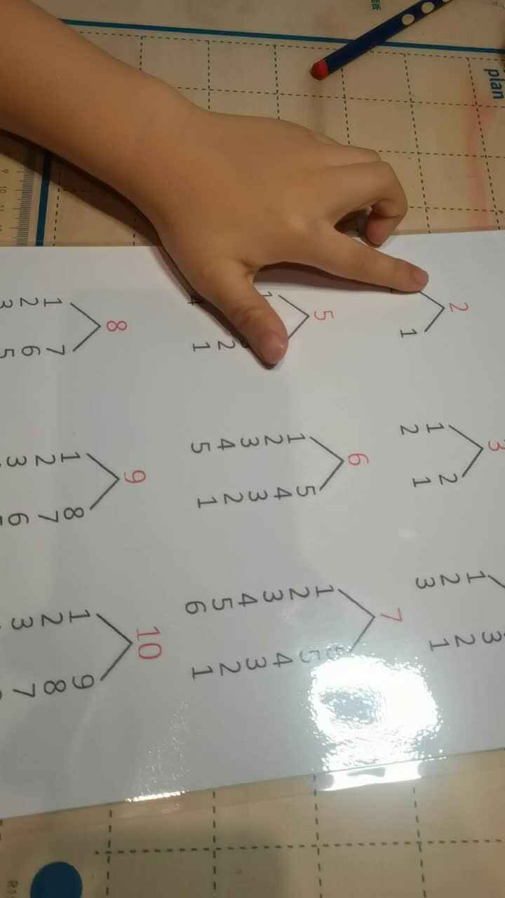 指读数字2—5的分解与组合