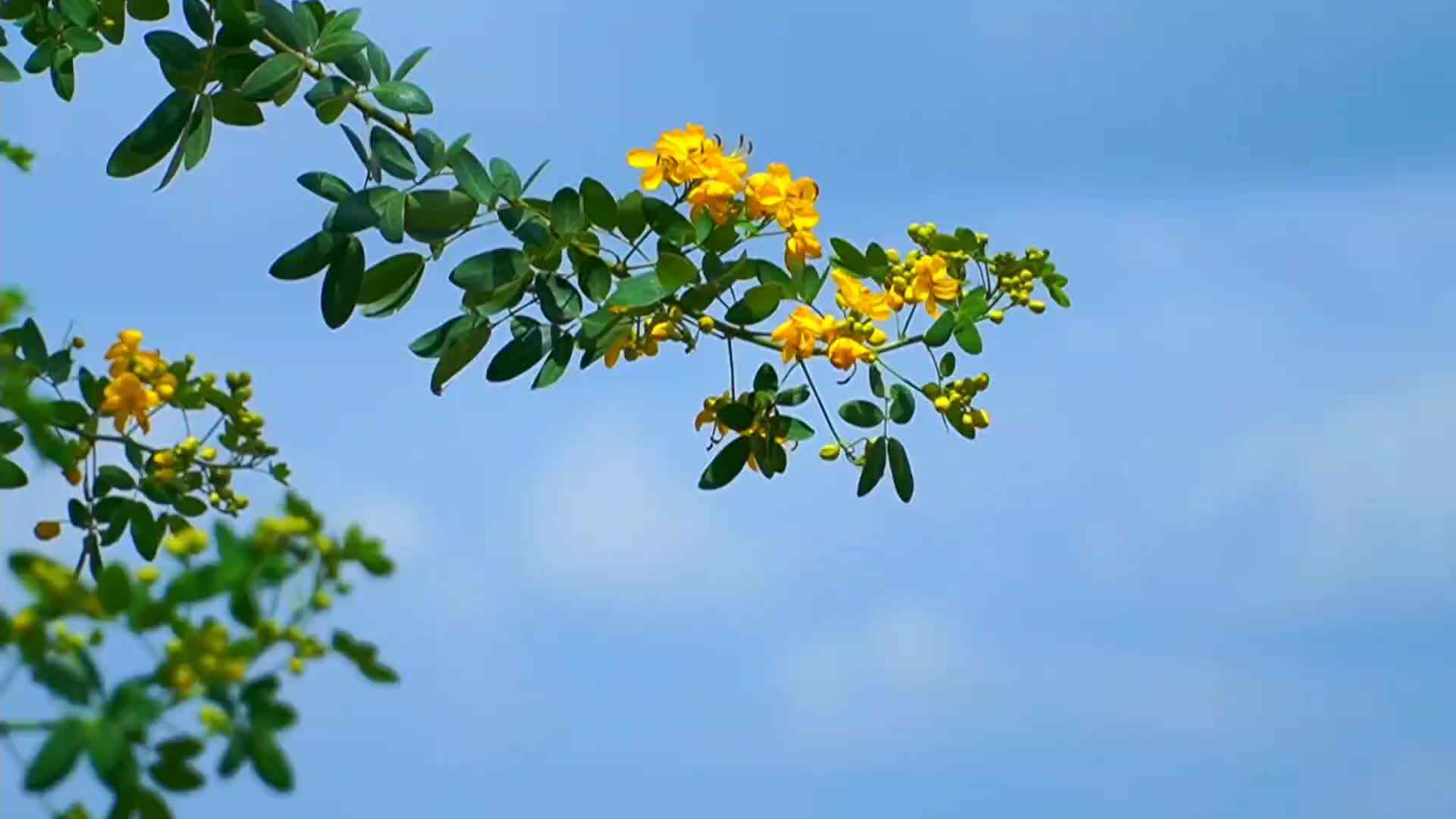 我们的一天