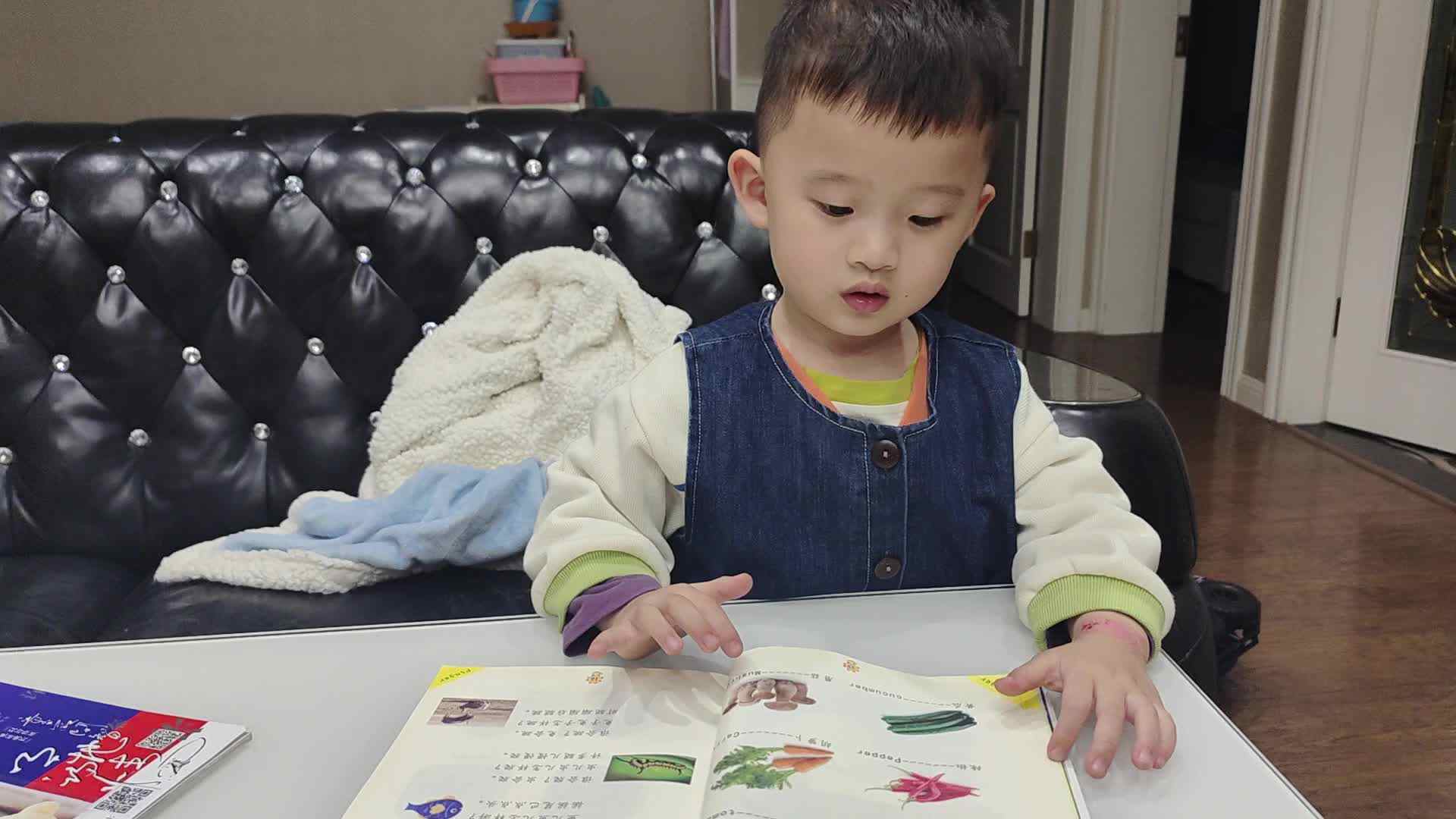 小A班2023.10.12李楷延——认识植物.mp4