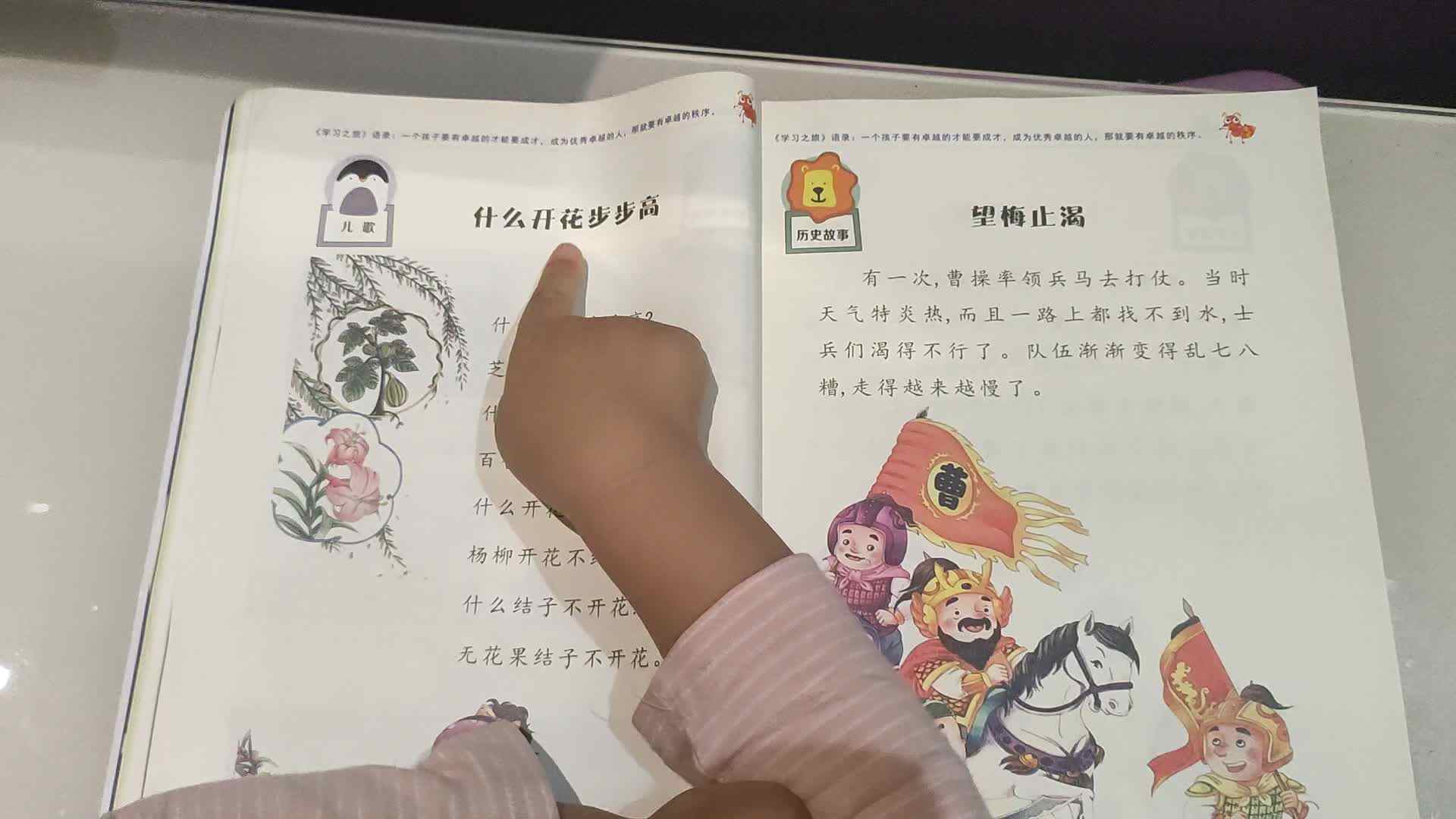 什么开花步步高.mp4