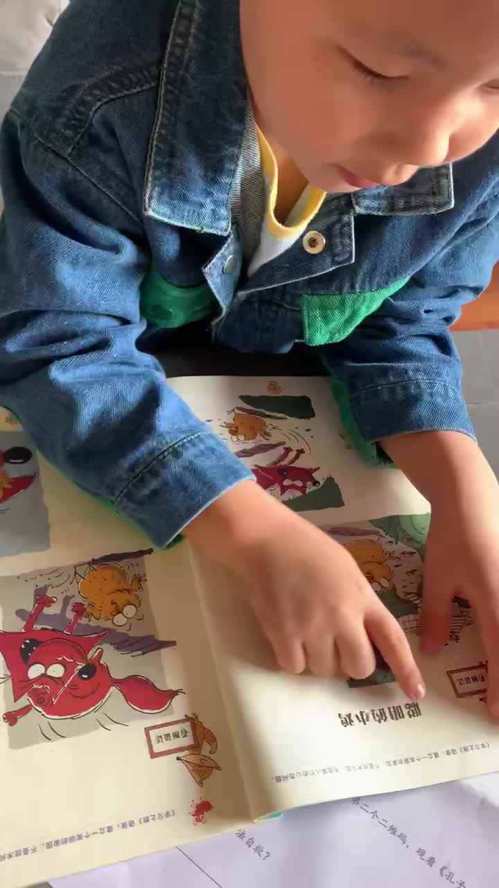 聪明的小鸡