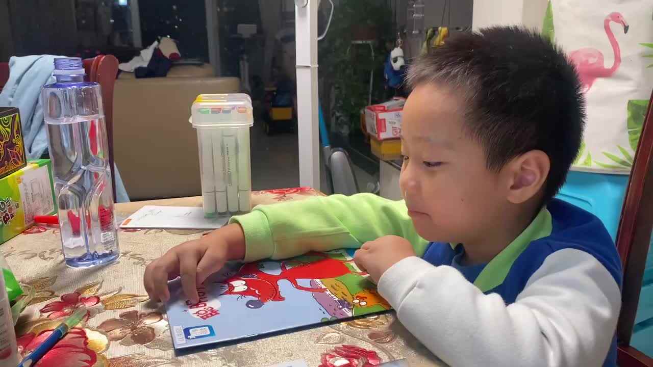 指读绘本《聪明的小鸡》