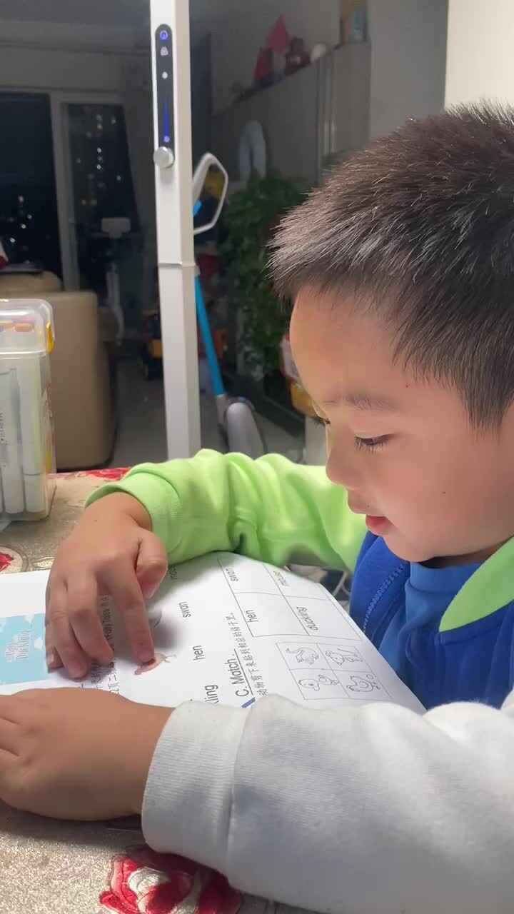 指读单词，鸭子，鸡，天鹅，老鼠