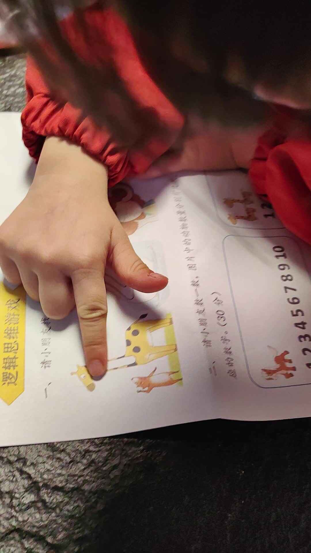 中B班徐子伊逻辑思维游戏（找藏起来的数字）