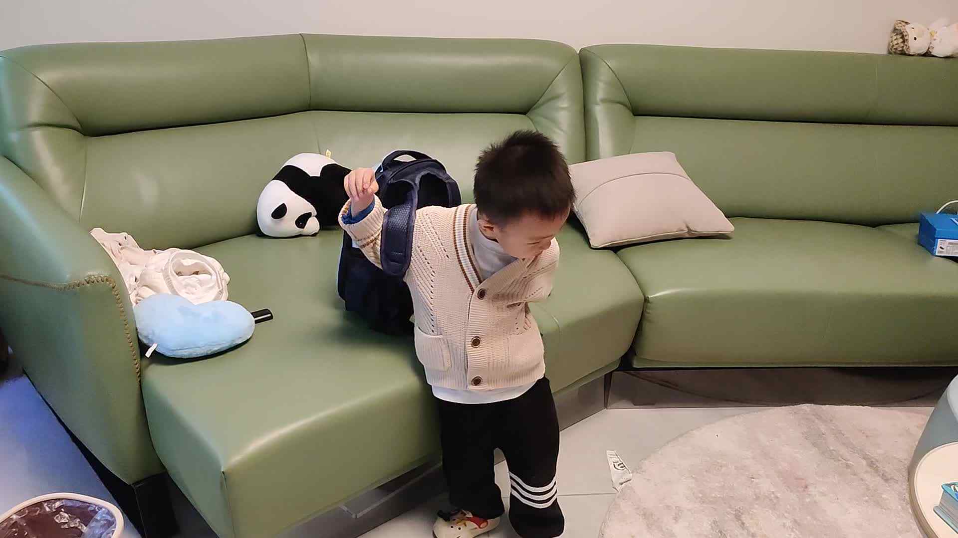 罗振东20231012.mp4