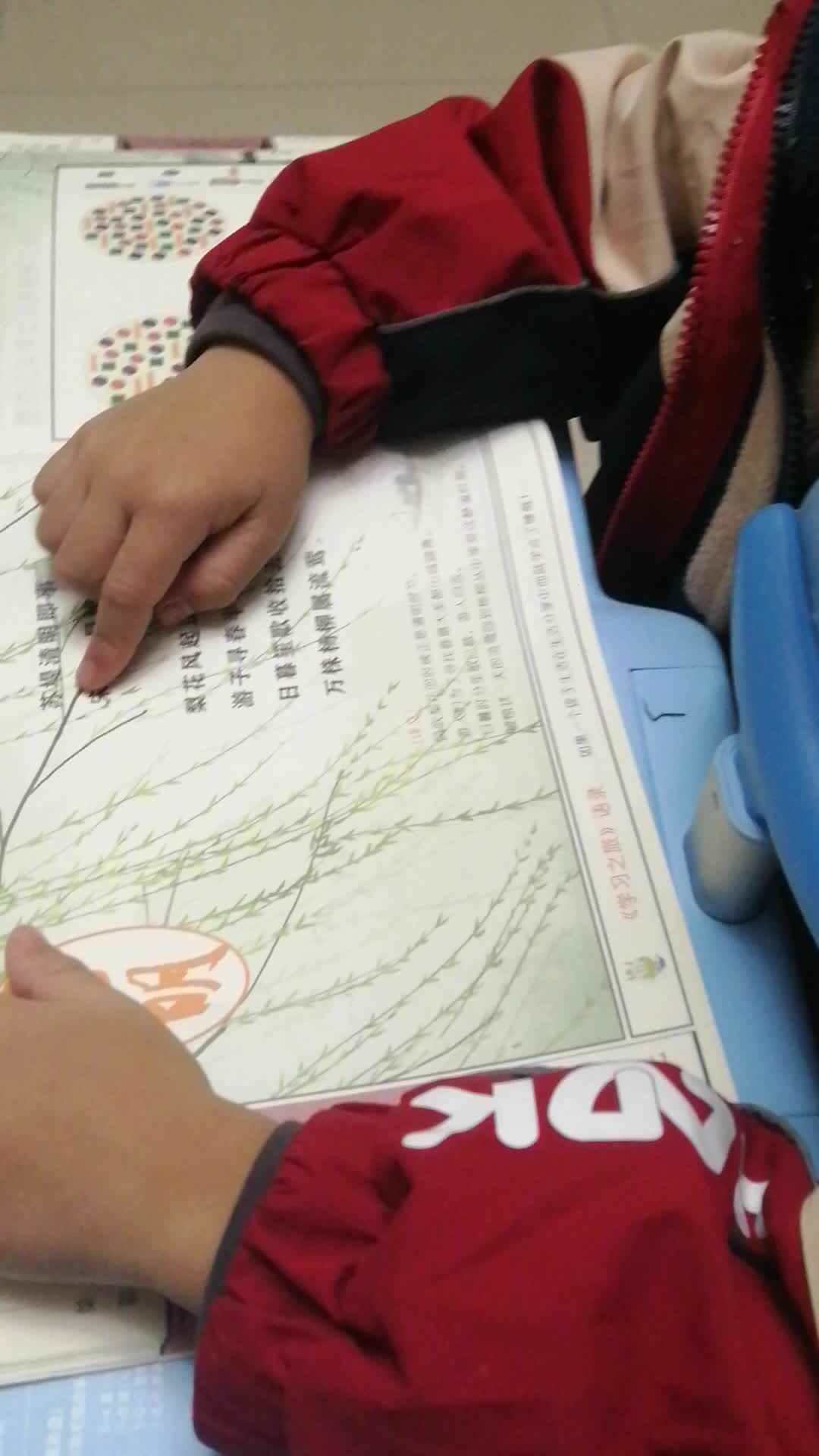 VID_20231115_190759.mp4