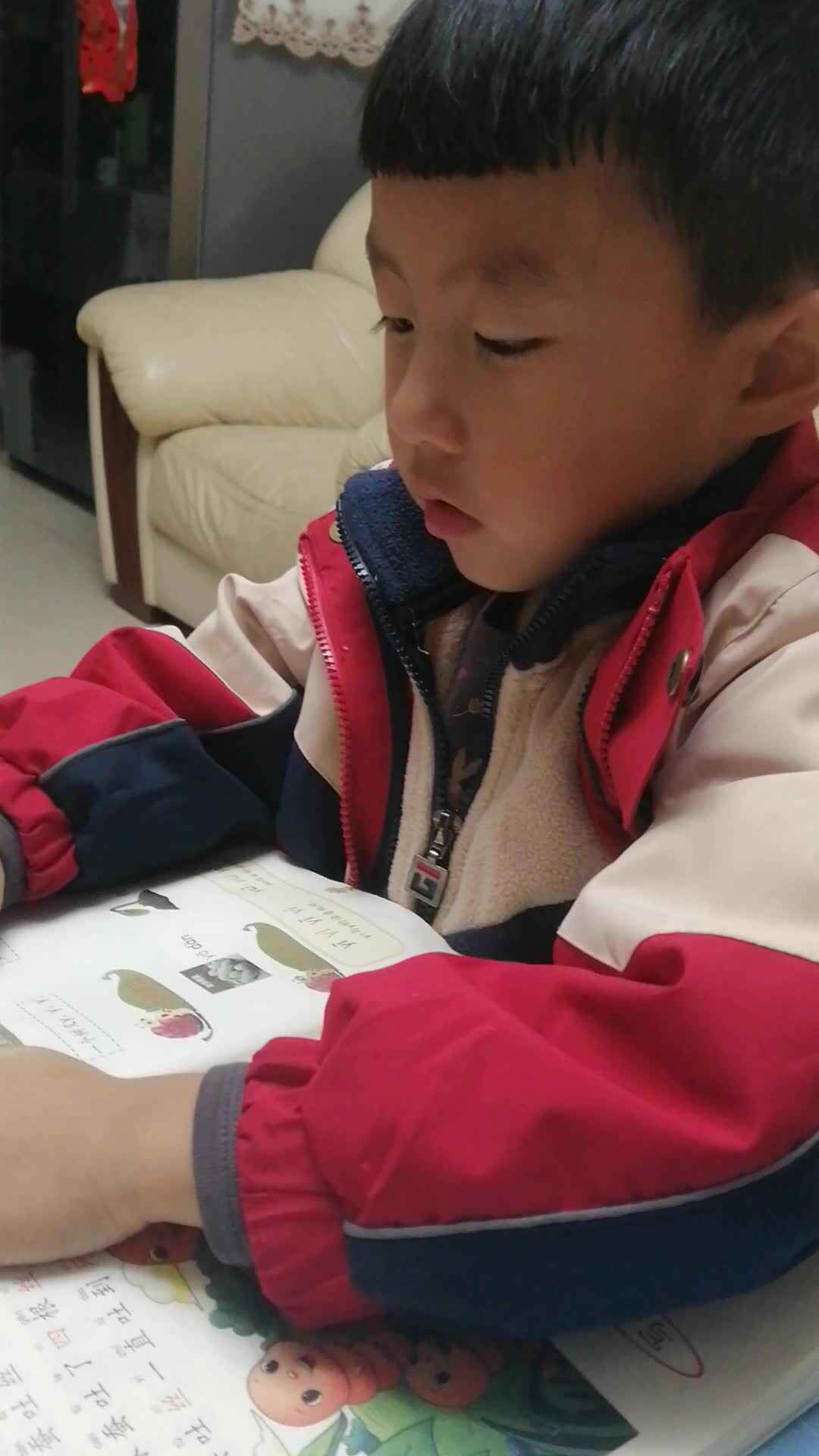 VID_20231115_185604.mp4