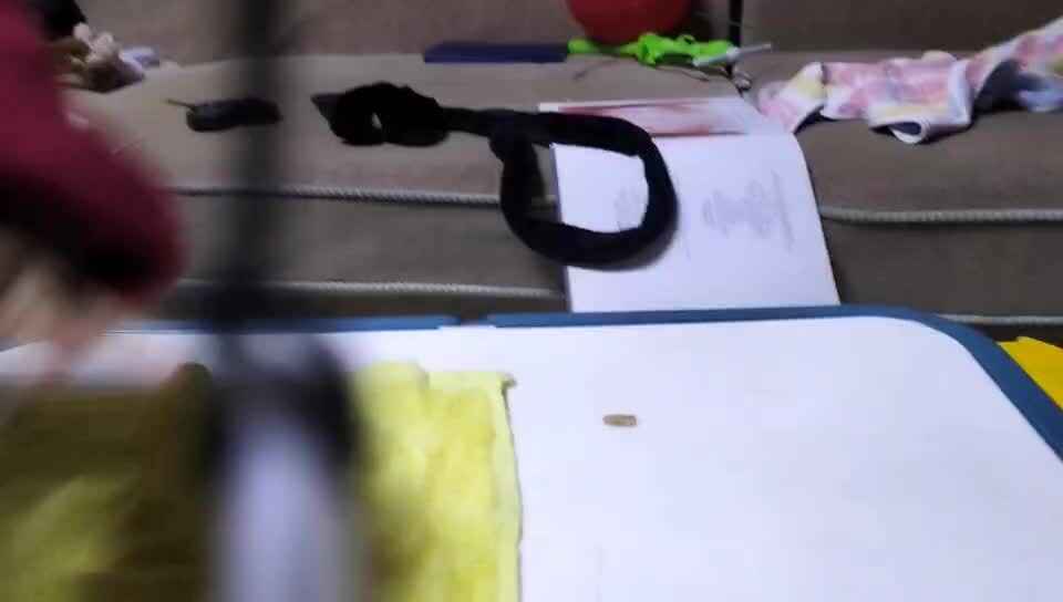 ⁣⁣⁣20231129中A于陈昱擦桌子.mp4