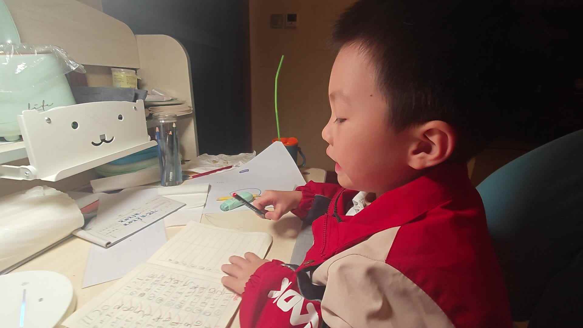 VID_20231122_201254.mp4