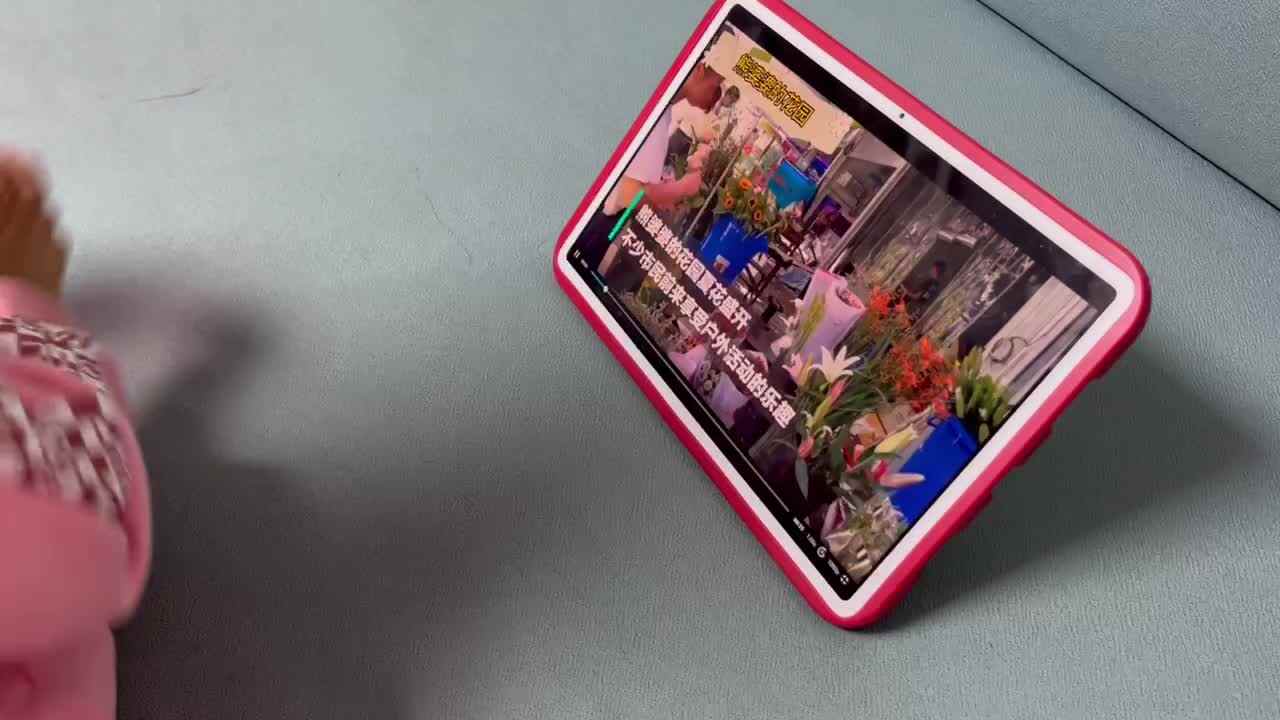 中B班观看视频.MOV