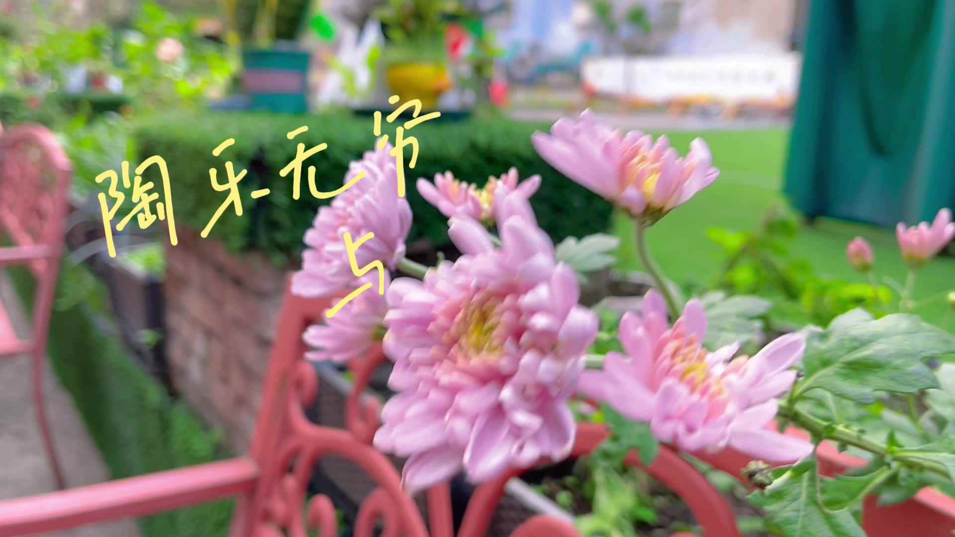 陶乐无穷，与“泥”分享