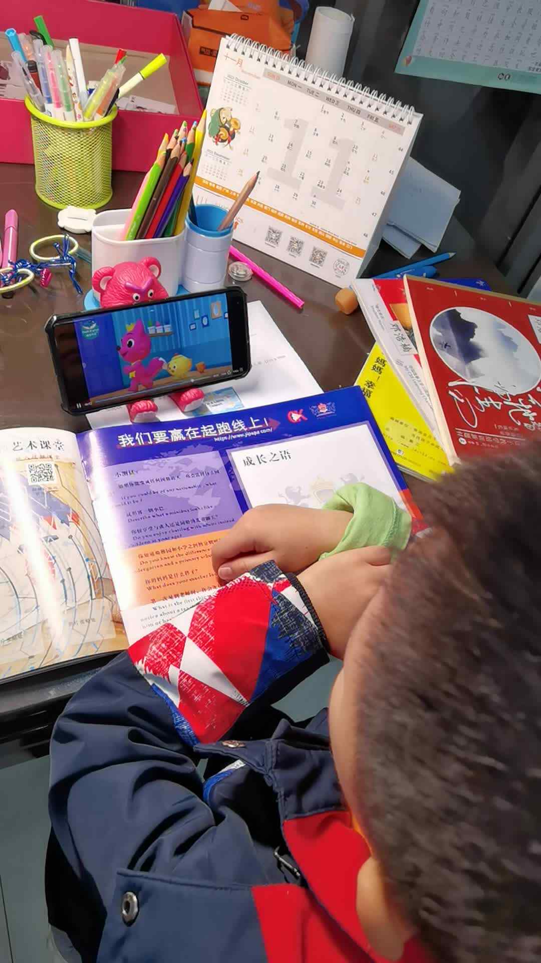 VID_20231112_192307.mp4