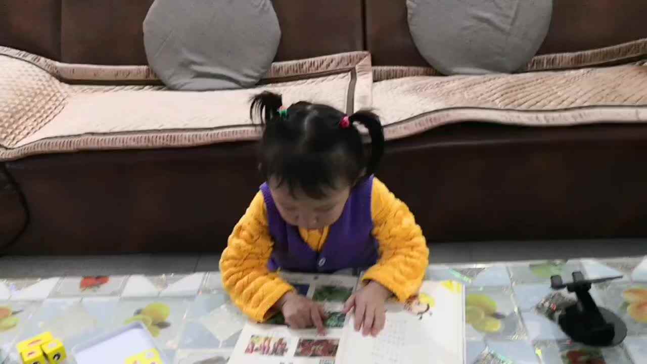 ⁣中A班李盈莹 认识植物