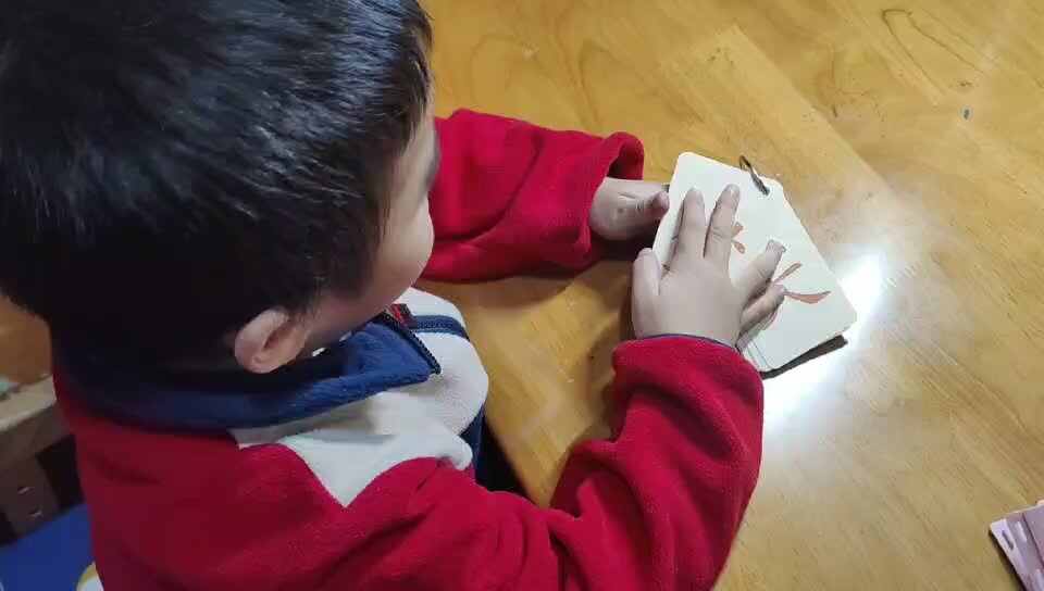 mmexport1700045850709.mp4