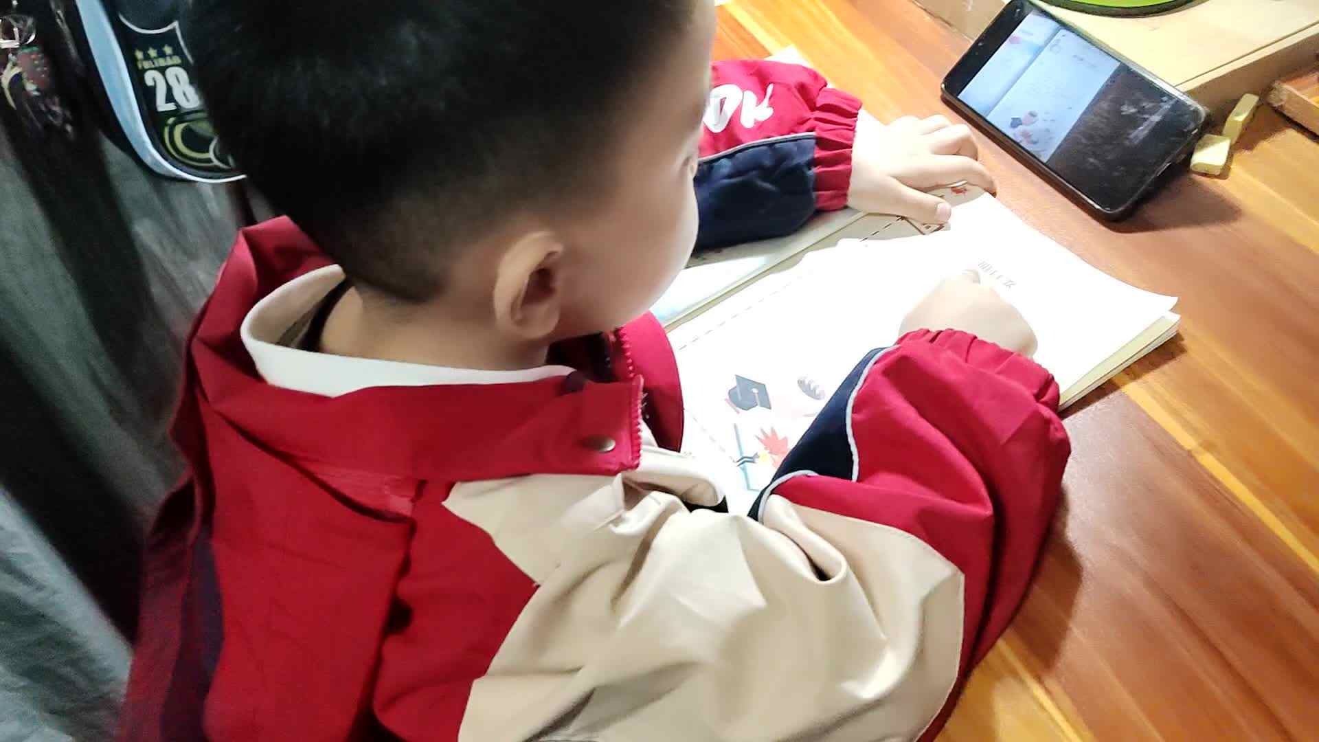 VID_20231124_195833.mp4