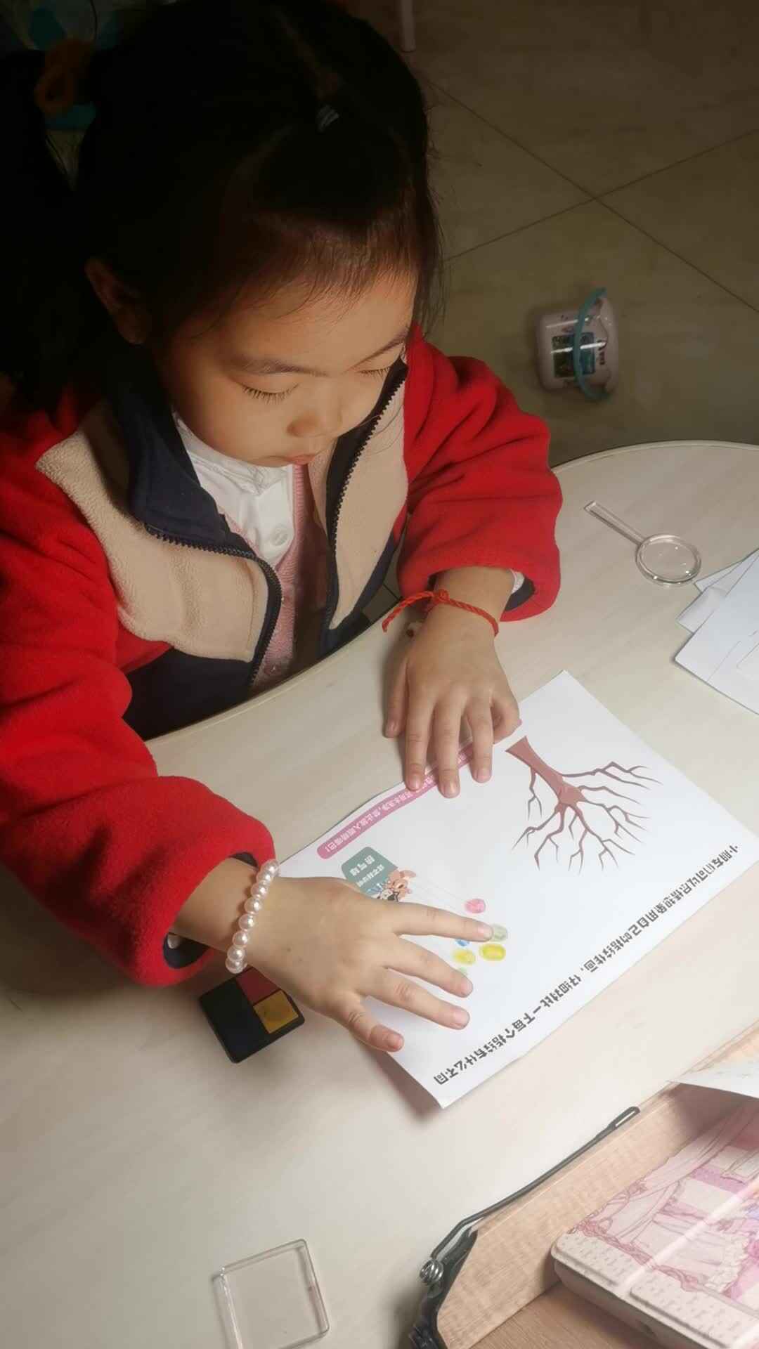 2023.11.13科学实验《指纹画》