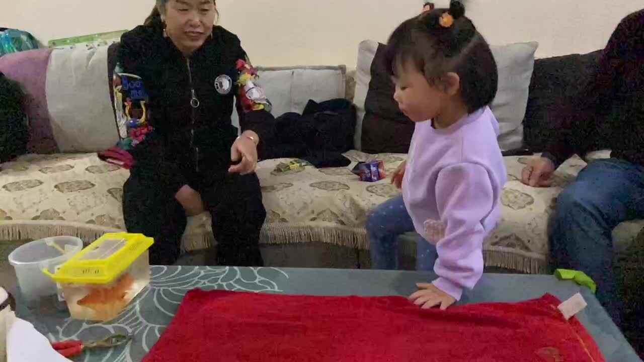 小A班2023.11.13张艺涵-折叠毛巾.MOV
