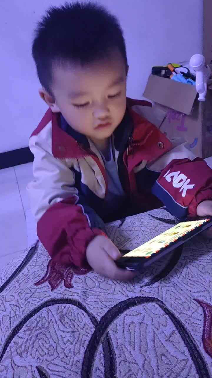 身体器官