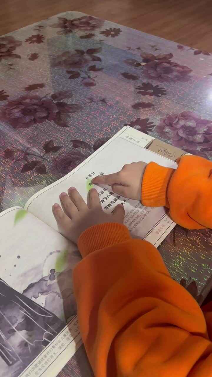 实验大班文浚棵2023.11.20