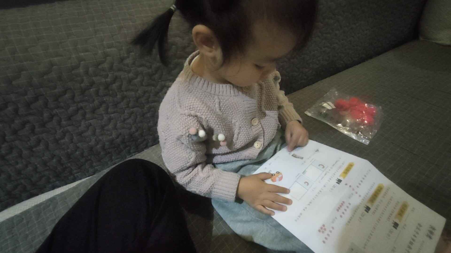 2023.11.11 cat car.mp4