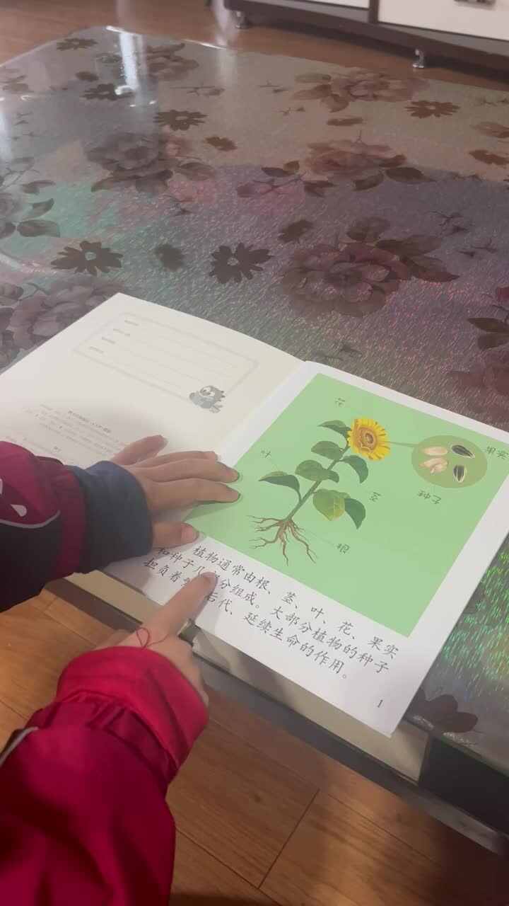 实验大班文浚棵2023.11.09