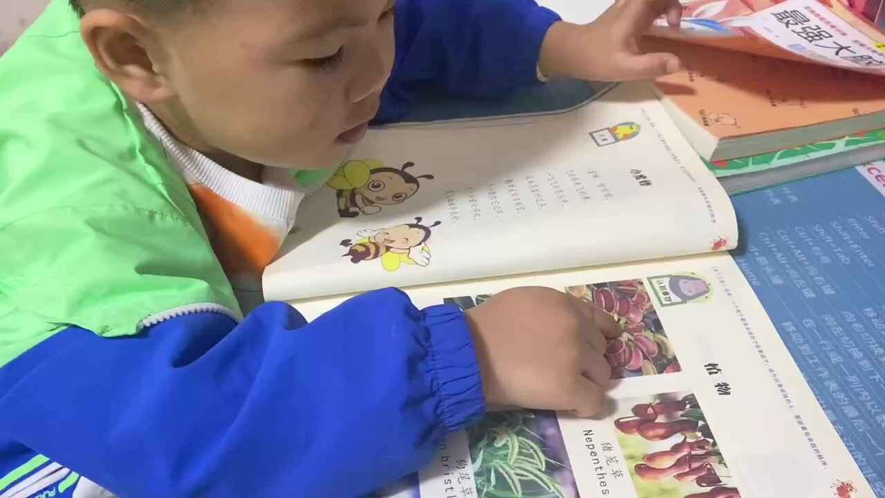 中B班吕子垚（认识植物和特征）20231107.MOV