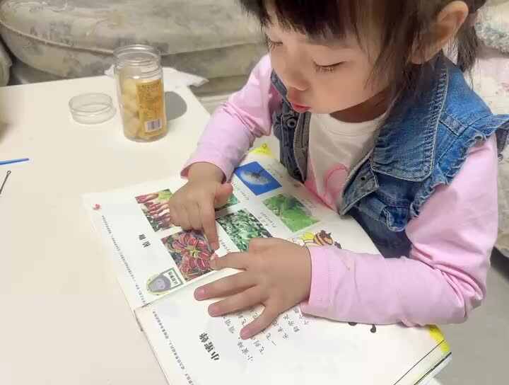 20231107中B班舒琳芯认识植物和特征